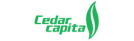 Catalyst client Cedar Capital